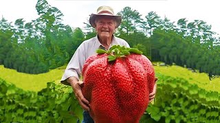 WORLD'S BIGGEST STRAWBERRY - real or fake?