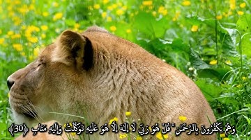 ألا بذكر الله تطمئن القلوب _سورة الرعد القارئ أحمد علي