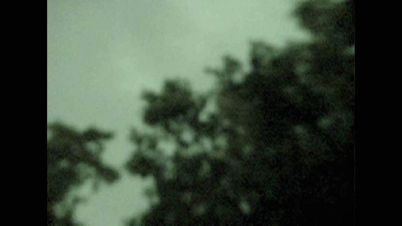 IR Bat Night Vision Test YouTube