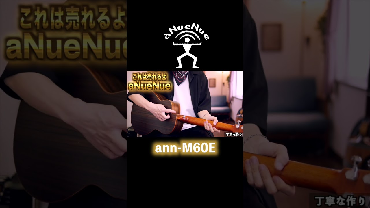 aNUeNue」うわさ以上でヤバい！ #アコースティックギター #ギター