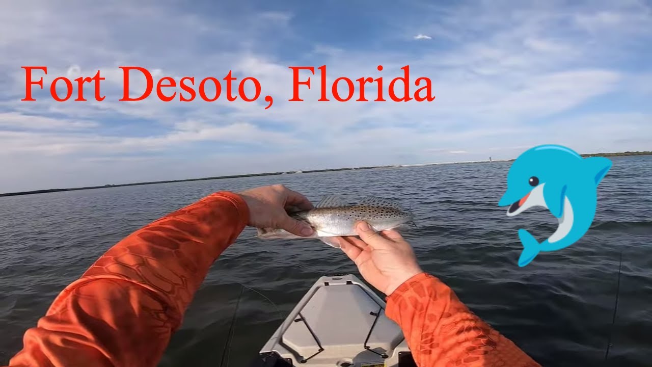 Fort Desoto Kayak Fishing Trip and Dolphins YouTube