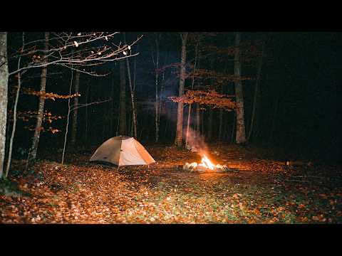 3 Terrifying TRUE Fall Camping Horror Stories