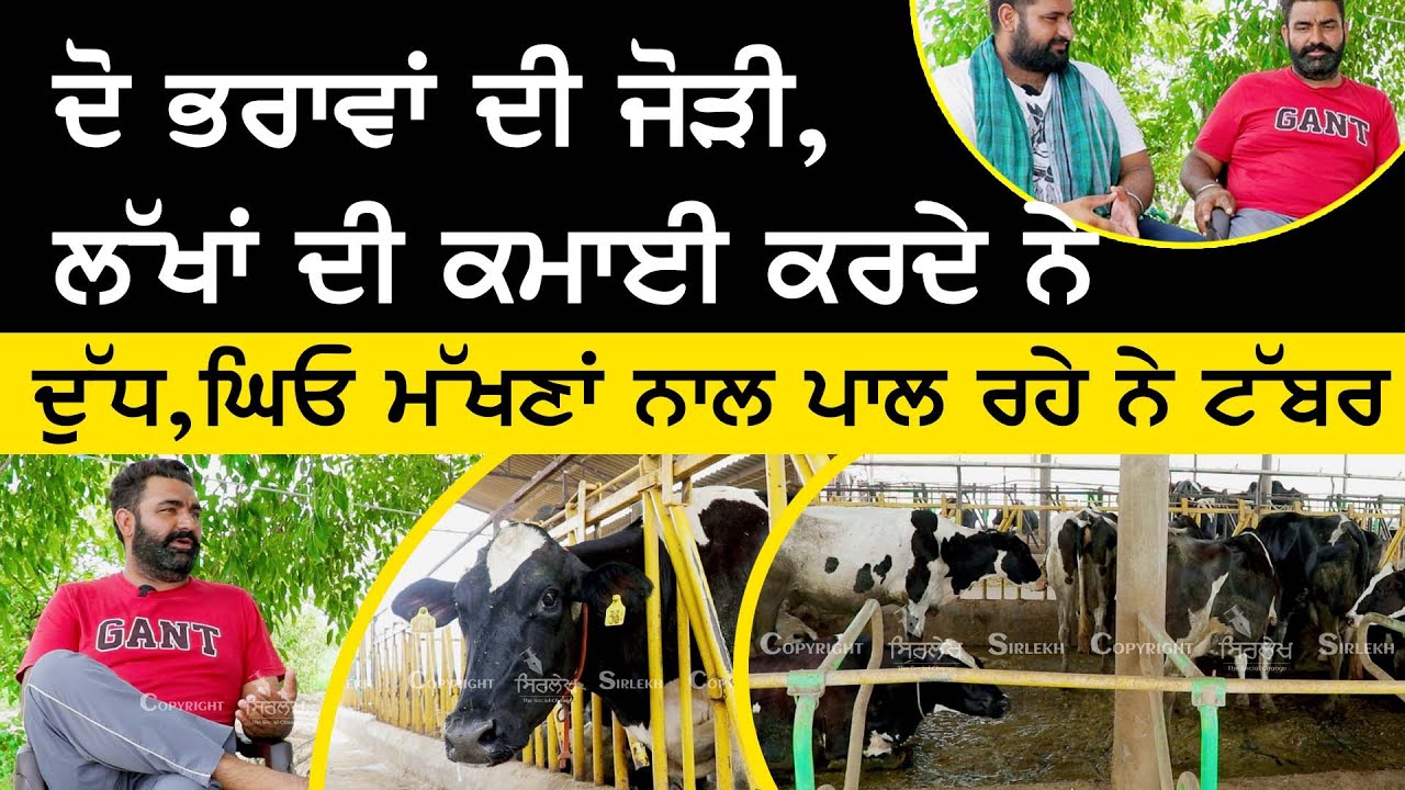 Cow Dairy Farm - ਦੋ ਭਰਾਵਾਂ ਦੀ ਜੋੜੀ ,ਲੱਖਾਂ ਦੀ ਕਮਾਈ ਕਰਦੇ ਨੇ | Dairy Farming Business | Loan | Sirlekh