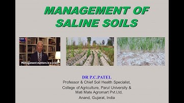 MANAGEMENT OF SALINE SOILS BY DR.P.C.PATEL