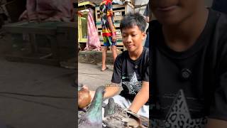 Supaya merpati sehat #pigeon