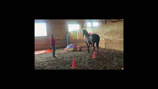 Nancy Ingalls &amp; Chelcee   2026 IHA May Advanced Online Course