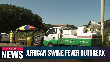 Second case of African swine fever confirmed in S. Korea