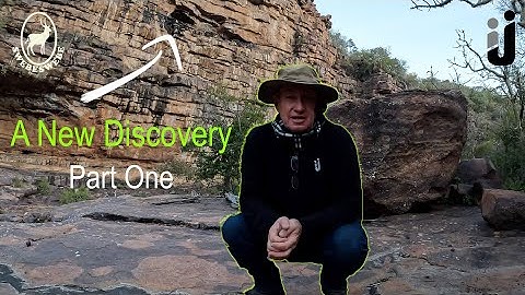 After a disastrous blizzard, there was a significant increase in the allele frequency of blue