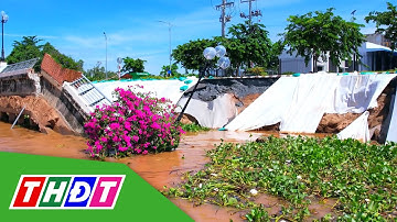 Khẩn cấp khắc phục sạt lở kè Thường Thới Tiền | THDT