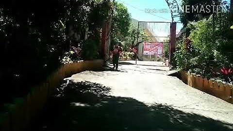 Role play about the Seven functions of Language according to Michael Halliday.