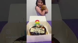 Best Birthday Ever! 🥳🐶🎨 Kids Puppy Parties Now in Sydney