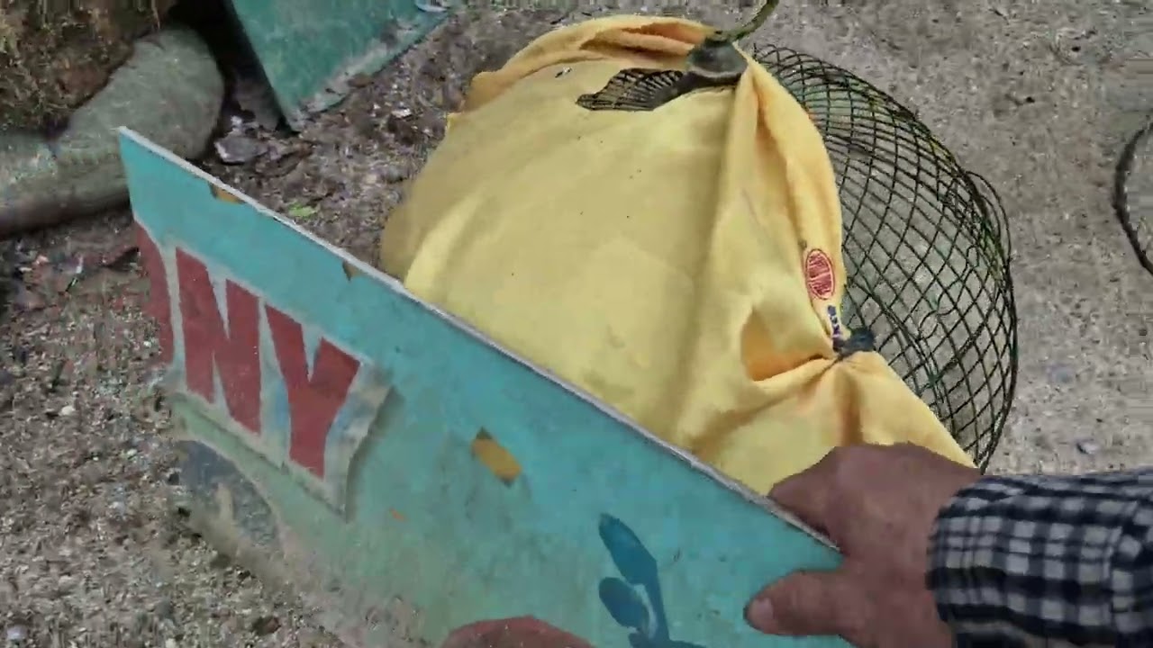 Thứ 6 n 6 th 3 mình đăng video cho ae tham khảo nha đt 0353916233