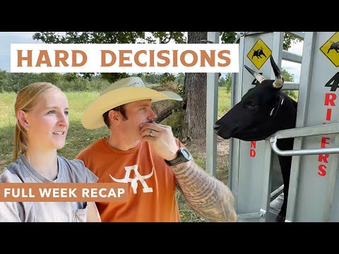 First Time Using Our New Chute… and a Tough Decision We Had to Make