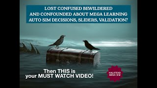 TWO BIRDS MUST WATCH MEGA LEARNING AUTOMOTIVE SIM SLIDERS AND DECISION VALIDATION
