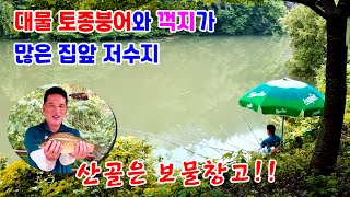 대물토종붕어와 꺽지가 많은 집앞 저수지! 둘러 보면 산골은 보물창고입니다~