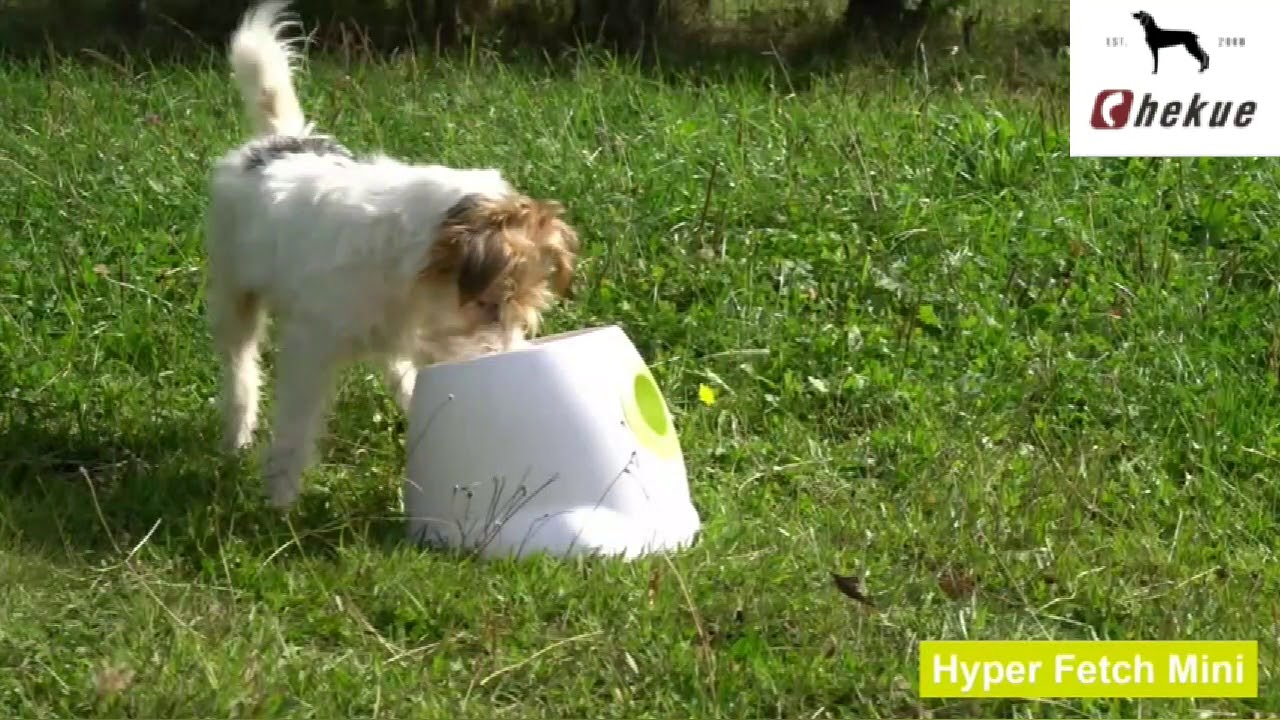 dog ball launcher YouTube