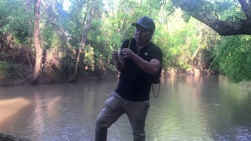 Đi câu cá ở nước suối câu được rất là nhiều cá.