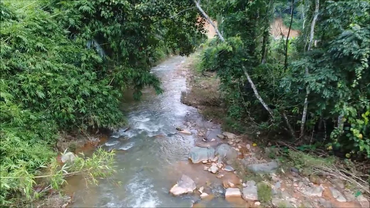 Pailin trekking along river