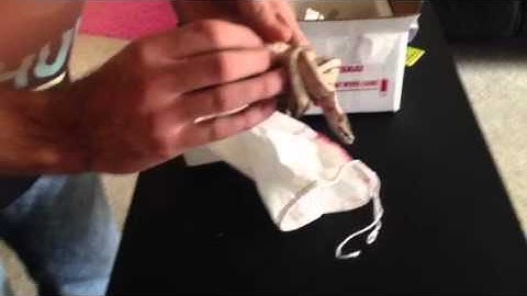 Unboxing Ball Python video 2