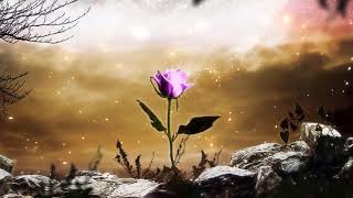 La Fleur du bien 🌹 - Florent Otis