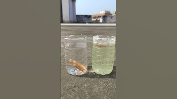 ENO Experiment With Biscuit #shorts