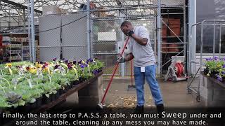 Daily Routine & Basics of Plant Merchandising