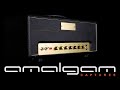 Friedman Plex DI Tone Model Demo and Playthrough by amalgam audio