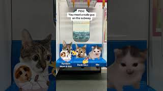 CAT MEMES 🐱You Meet a Rude Guy on the Subway #catmemes #relatable #relationship