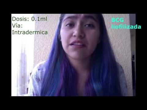 Vídeo: Evaluación De La Inmunogenicidad Y Eficacia De Las Vacunas BCG Y MTBVAC Utilizando Un Modelo De Transmisión Natural De La Tuberculosis