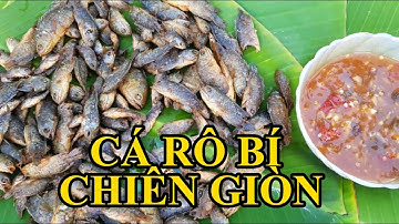 CÁ RÔ BÍ CHIÊN GIÒN - TẬP 38 | DLAT Nguyễn Toại