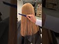 ロングになりたいときにすぐなれるよ🦙 #nejiko