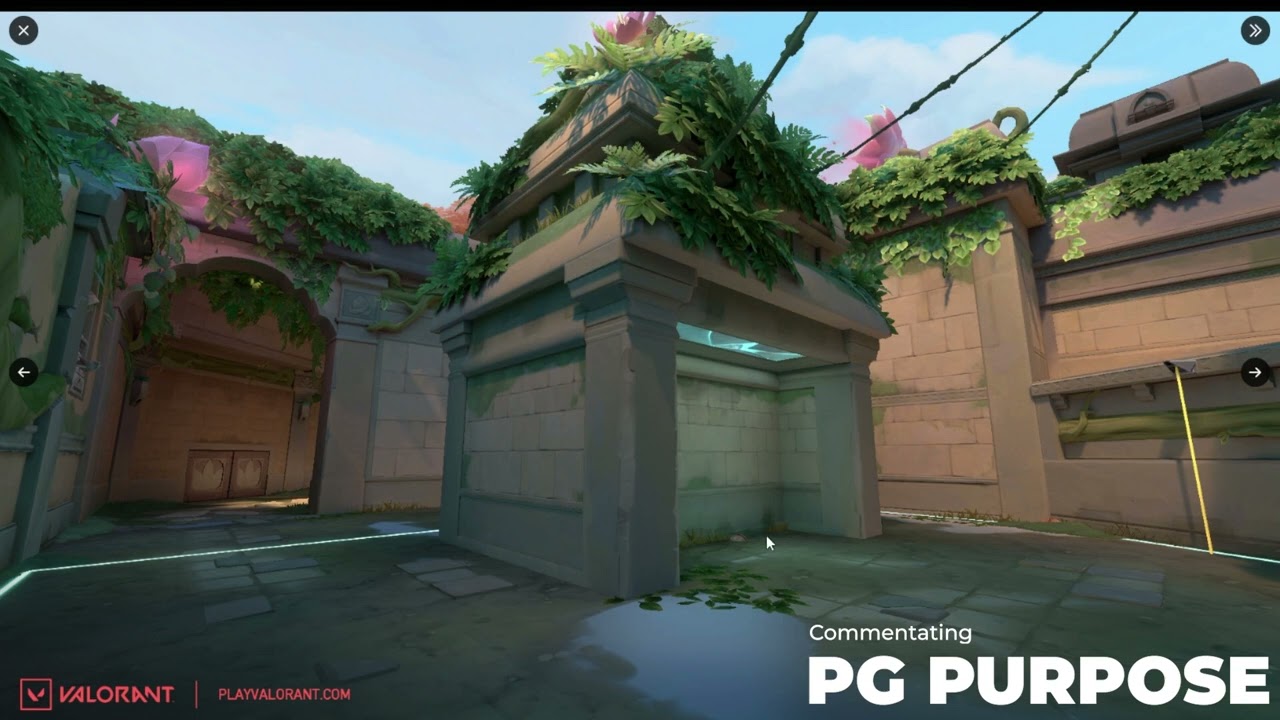 Lotus has changed | What to know/Think about