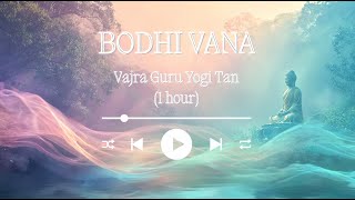 Bodhi Vana - Vajra Guru Yogi Tan - 1 hour long mantra - meditation, spiritual vibration, healing Bodhi Vana - Vajra Guru Yogi Tan - 1 hour long mantra - meditation, spiritual vibration, healing