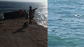 delfines en la playa de HERRADURA distrito de CHORRILLOS