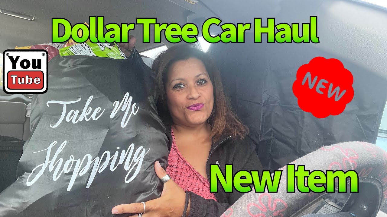 Dollar Tree Car Haul Snacks Unbelivable NEW FOOD item for 1.25