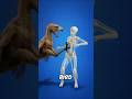 Terror Bird Attack Explained 😱 10-Foot Predator That Hunted Humans #shorts