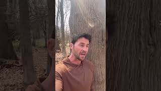 Babylon Village Corruption #babylon  #crime #longisland #news #viralvideo #duet #longislandaudit