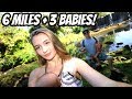 6 MILE WALK THROUGH JUNGLE WITH 3 BABIES