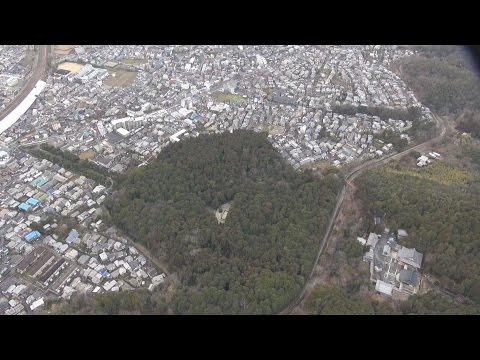 奇跡の八卦 : あなたの天命を導く中国八千年の叡智 奇跡の八卦: あなたの天命を導く中国八千年の叡智 (TERRA BOOKS