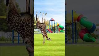 Giraffe Survival Tutorial