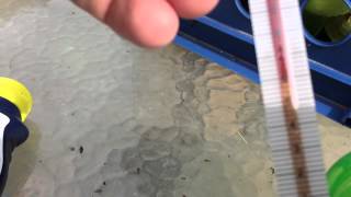 Saltwater test strips screenshot 3