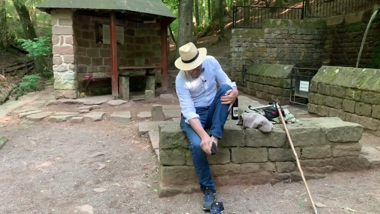 Die Walddusche in Gleisweiler