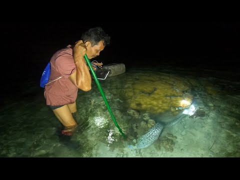 ผลสลากกินแบ่งรัฐบาล วันที่ 1 พย. 2567