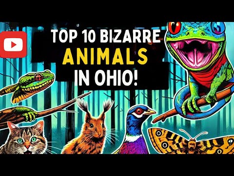 Top 10 Bizarre Animals in Ohio You Won't Believe Exist