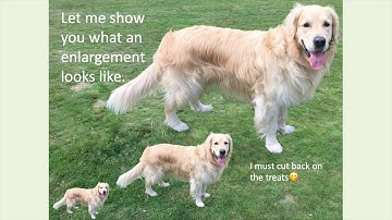 Lesson 12 Transformations Part 2