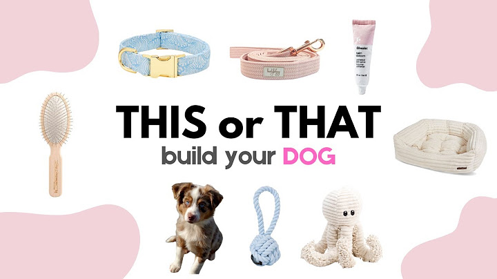 Build Your DREAM Dog | THIS or THAT 🐕🐾🐶