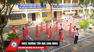 TRƯỜNG TIỂU HỌC LONG HƯNG