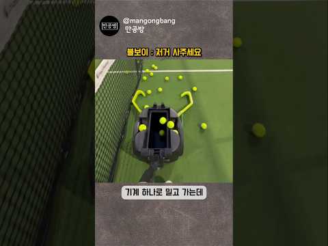 테니스공 수거 끝판왕 등장ㄷㄷ thumbnail