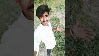 Rupesh Jha Viral #bhojpuri #song #trending #music #video #bhojpuri #trending #song #rangdari #video