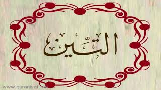 القارئ محمد المحيسني - سورة التين